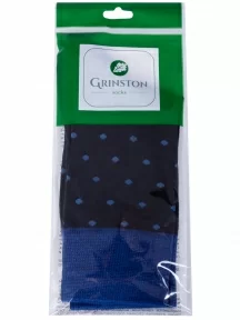 Мужские носки Grinston socks (PINGONS), 18D1, СИНИЕ