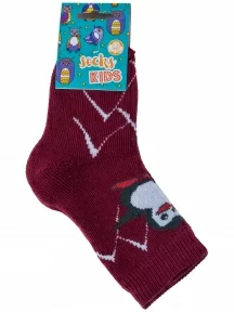 Детские махровые носки Альтаир, С129, БОРДОВЫЕ