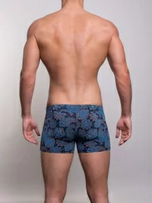 Мужские бамбуковые трусы-боксеры SD (by Salvador Dali), SD2042-2, СИНИЕ