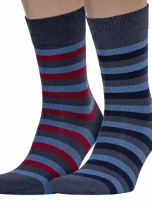 Комплект из 2 пар мужских носков Брестские (БЧК), 2-14С2122, рис. 014, микс 5