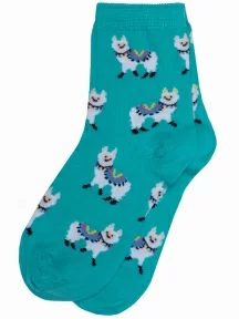 Комплект из 5 пар детских носков RuSocks (Орудьевский трикотаж), 5-Д3-13159, рис. 03, БИРЮЗОВЫЕ