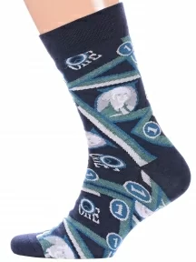 Комплект из 2 пар мужских носков "Красная ветка", 2-С-1363, СИНИЕ