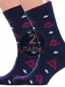 Комплект из 2 пар мужских носков "Красная ветка", 2-С-1360, СИНИЕ