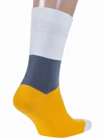 Мужские носки MSCLUB №М47, nm-538, МУЛЬТИКОЛОР