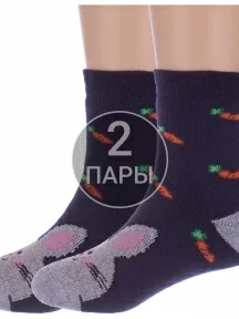 Комплект из 2 пар детских махровых носков "Красная ветка", 2-С-1619, СИНИЕ