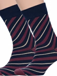 Комплект из 2 пар мужских носков MSCLUB №М33, 2-nm-355, СИНЕ-БОРДОВЫЕ