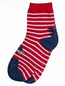 Детские носки RuSocks (Орудьевский трикотаж), ДТ-95/1, рис. 02, МУЛЬТИКОЛОР