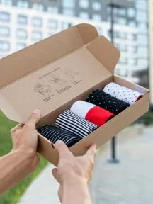 Набор из 5 пар мужских носков "Нева-Сокс", НС-5-НМ220, микс "Снегири прилетели"