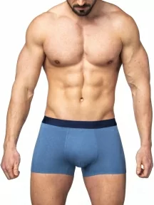 Мужские трусы-боксеры из модала и хлопка Sergio Dallini, SD2901-4, СИНИЕ