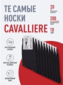 Комплект из 10 пар мужских носков CAVALLIERE (RuSocks), С-330/1-10, ТЕМНО-СЕРЫЕ
