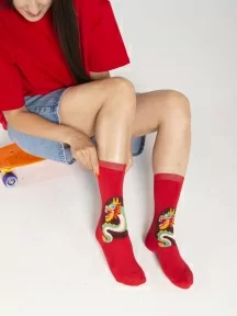 Унисекс носки Oemen, PM427, рис. 427 "Дракон"