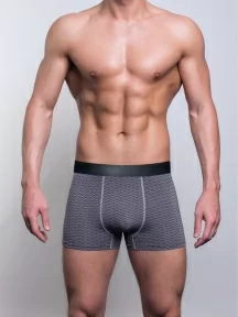 Мужские бамбуковые трусы-боксеры SD (by Salvador Dali), SD2040-2, СЕРЫЕ