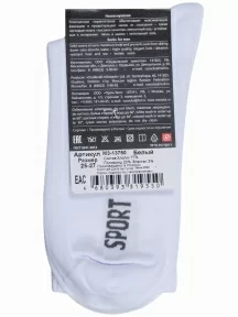 Мужские носки RuSocks (Орудьевский трикотаж), М3-13750, БЕЛЫЕ