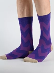 Набор из 5 пар мужских носков "Нева-Сокс", НС-5-201, микс "Машина времени"