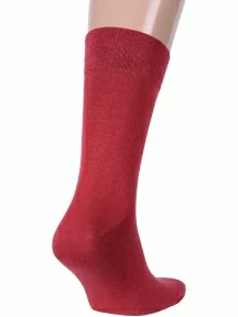 Мужские носки MSCLUB, ПН-01Э, ВИННЫЕ