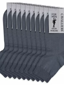 Комплект из 10 пар мужских укороченных носков CAVALLIERE (RuSocks), С-333-10, СЕРЫЕ