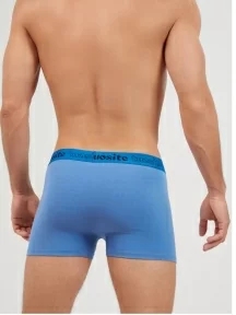 Мужские трусы-боксеры Tuosite, TS4401-5, СИНИЕ