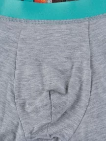 Мужские трусы-боксеры из вискозы Tuosite, TS8023-1, СЕРЫЕ