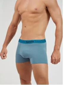 Мужские трусы-боксеры Tuosite, TS4401-5, СИНИЕ