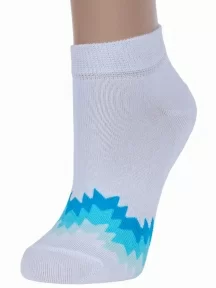 Комплект из 2 пар женских носков Брестские (БЧК), 2-14С1101, рис. 299, БЕЛЫЕ