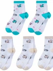 Комплект из 5 пар детских носков LORENZLine, 5-Л98, микс 8