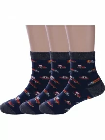 Комплект из 3 пар детских носков "Красная ветка", 3-С-573, СИНИЕ