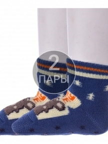 Комплект из 2 пар детских махровых носков Conte kids, 2-7С-53СП, рис. 469, СИНИЕ
