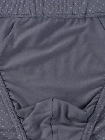 Мужские трусы-слипы из модала SERGIO DALLINI, SG2934-3, СЕРЫЕ