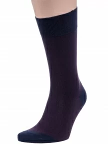 Мужские носки Sergio Di Calze (PINGONS), 15SC3, БОРДОВЫЕ