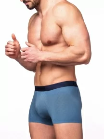 Мужские трусы-боксеры из модала и хлопка Sergio Dallini, SD2901-4, СИНИЕ