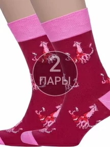 Комплект из 2 пар мужских носков MSCLUB №М48, 2-nm-541, БОРДОВЫЕ