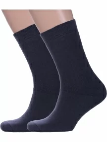 Комплект из 2 пар мужских махровых носков Альтаир, 2-ММ-220, ГРАФИТ