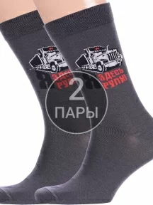 Комплект из 2 пар мужских носков «Красная ветка», 2-С-2068, СЕРЫЕ