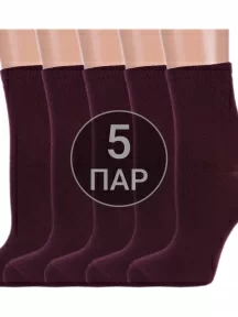 Комплект из 5 пар женских носков Брестские (БЧК) рис. 000, ЕЖЕВИКА (5-19С1232)