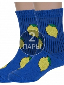 Комплект из 2 пар детских носков Альтаир, 2-А224, СИНИЕ