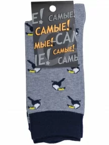 Мужские носки "Красная ветка", С-197, СЕРЫЕ