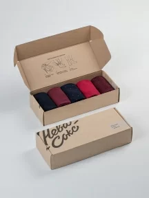 Набор из 5 пар мужских носков "Нева-Сокс", НС-5-НМ34, микc "Президент"