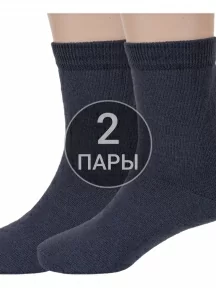 Комплект из 2 пар детских носков "Красная ветка", 2-С-742, ТЕМНО-СЕРЫЕ