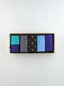 Набор из 5 пар мужских носков "Нева-Сокс", НС-5-НМ202, "Ментоловый гонщик"