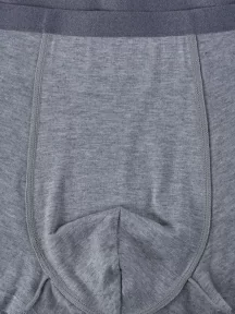 Мужские трусы-боксеры из модала Sergio Dallini, SD2901-7, СВЕТЛО-СЕРЫЕ МЕЛАНЖ