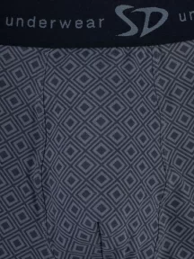 Мужские трусы-боксеры SD (by Salvador Dali), SD2017-1, ЧЕРНЫЕ