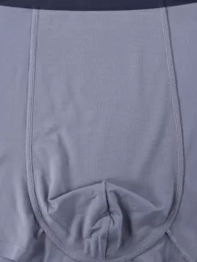 Мужские трусы-боксеры из модала Sergio Dallini, SD2908-1, СЕРЫЕ