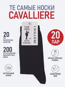 Комплект из 20 пар мужских носков CAVALLIERE (RuSocks) Темно-серый (С-330/1-20)