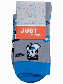 Детские носки "Красная ветка", С-2150, СЕРЫЕ