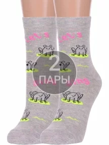 Комплект из 2 пар женских носков Брестские (БЧК) рис. 488, СВЕТЛО-СЕРЫЕ МЕЛАНЖ (2-21С1150)