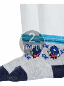 Комплект из 2 пар детских носков "Борисоглебский трикотаж", 2-8СМ1005/1, СЕРЫЕ
