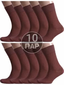Комплект из 10 пар мужских носков Альтаир ШОКОЛАД (10-H226)