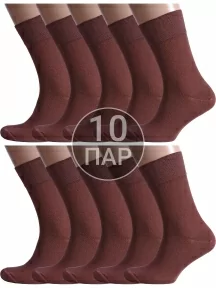 Комплект из 10 пар мужских носков Альтаир, 10-H226, ШОКОЛАД