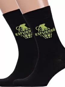 Комплект из 2 пар мужских носков Брестские (БЧК), 2-20С2146, рис. 458, ЧЕРНЫЕ