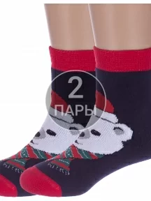 Комплект из 2 пар детских махровых носков "Красная ветка", 2-С-1607, СИНИЕ